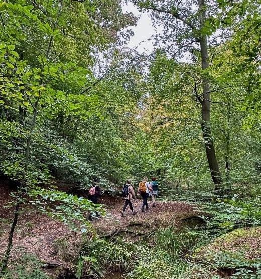 Gutsy Girls Event | Epping Forest - Guided Hikes and Wildlife Walks