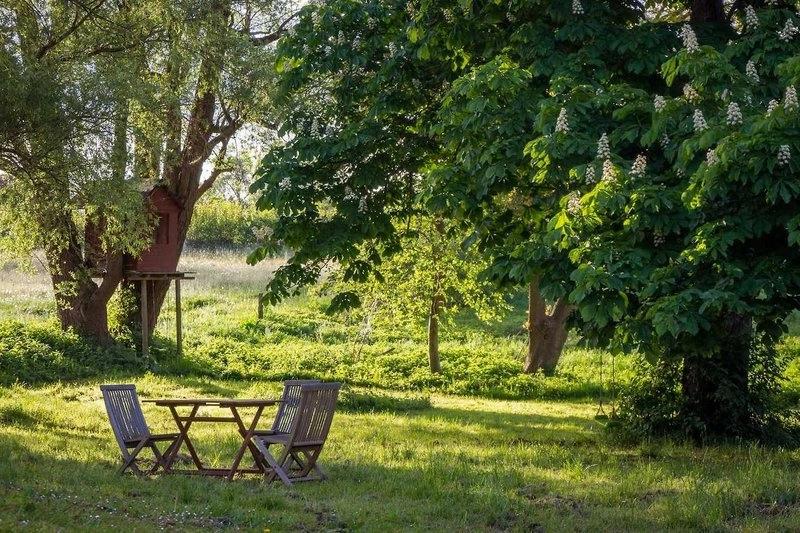 Workshop: StonyTellers – Kdo mluví v Zahradě?