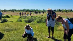 Matvandring på Alvaret – ett potpurri av smaker