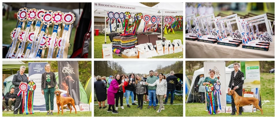 ČKRR Club Show & Honorary RRWC Club Show