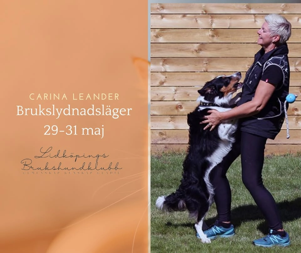 FULLSATT MED HUND! Brukslydnadsläger med Carina Leander!