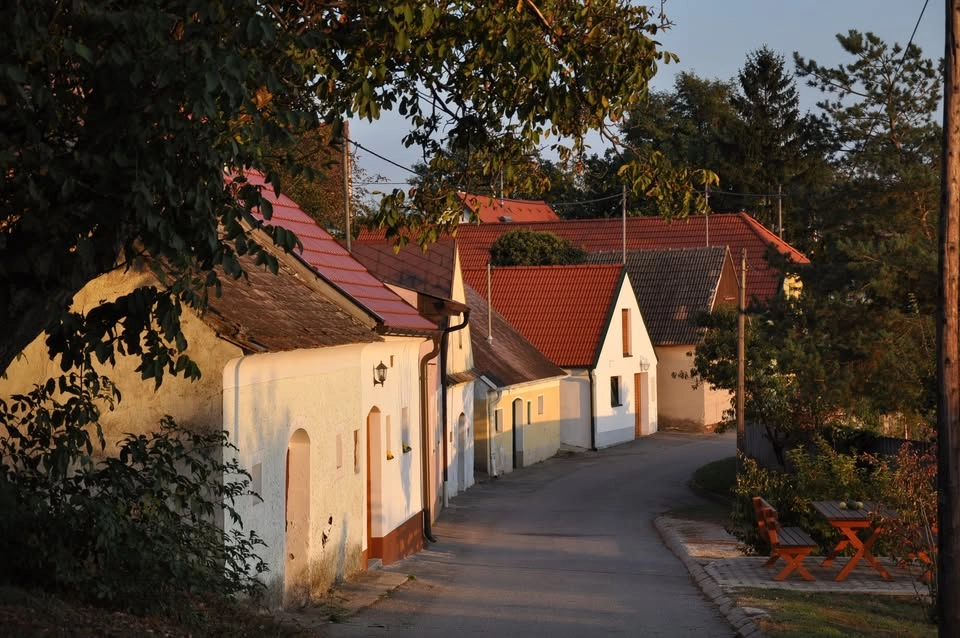 Kellergassenkulinarium in Jedenspeigen