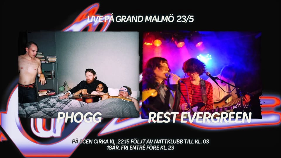 Phogg + Rest Evergreen live på Grand
