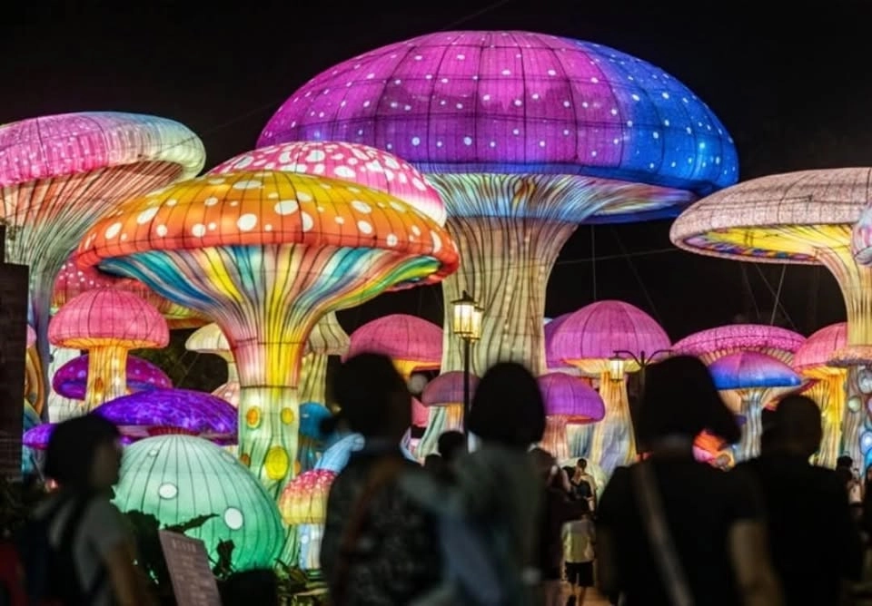 Christmas Lights Festival Chatsworth 2025