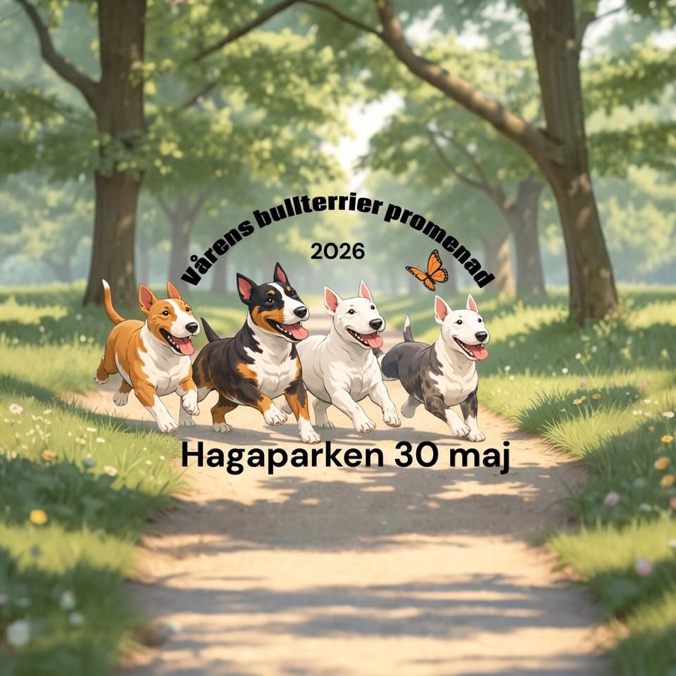 Vårens Bullterrier promenad 2026