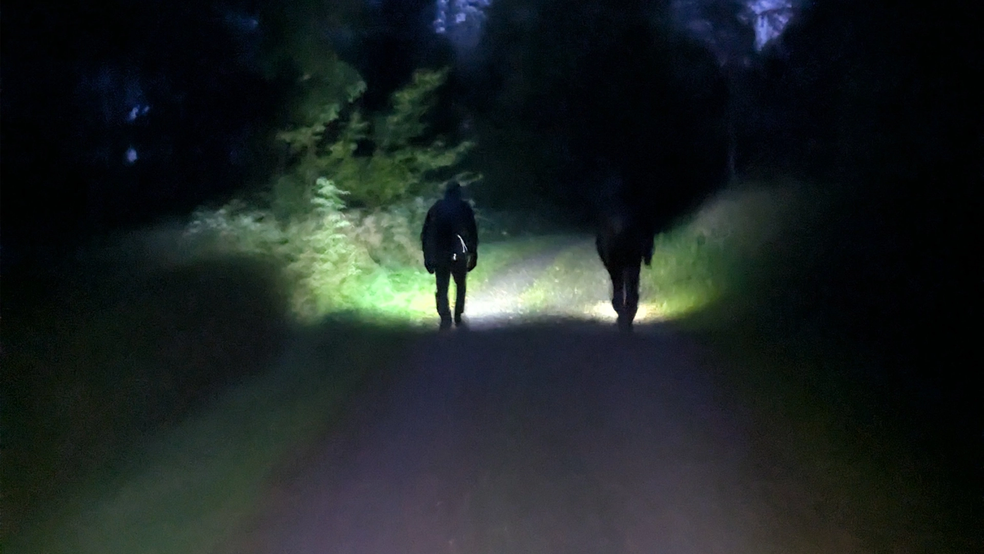 ULTRA - 80 KM in less than 24 hours - Söderåsen - from Åstorp to Höör.