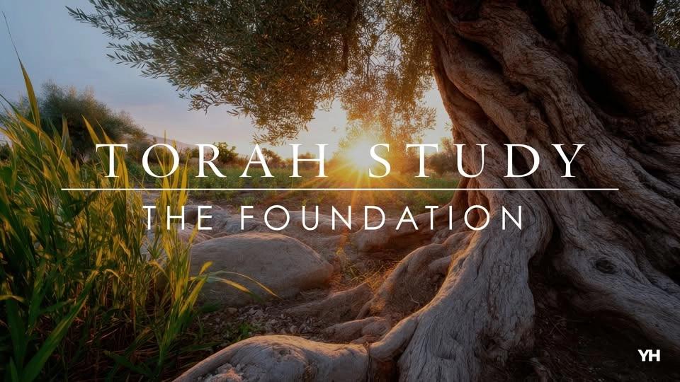 New-to-Torah Study