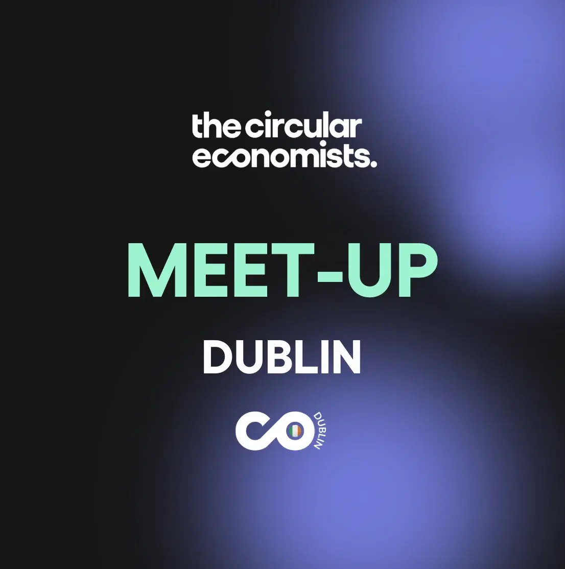 The Circular Economists Dublin - A Hands-On LCA Session