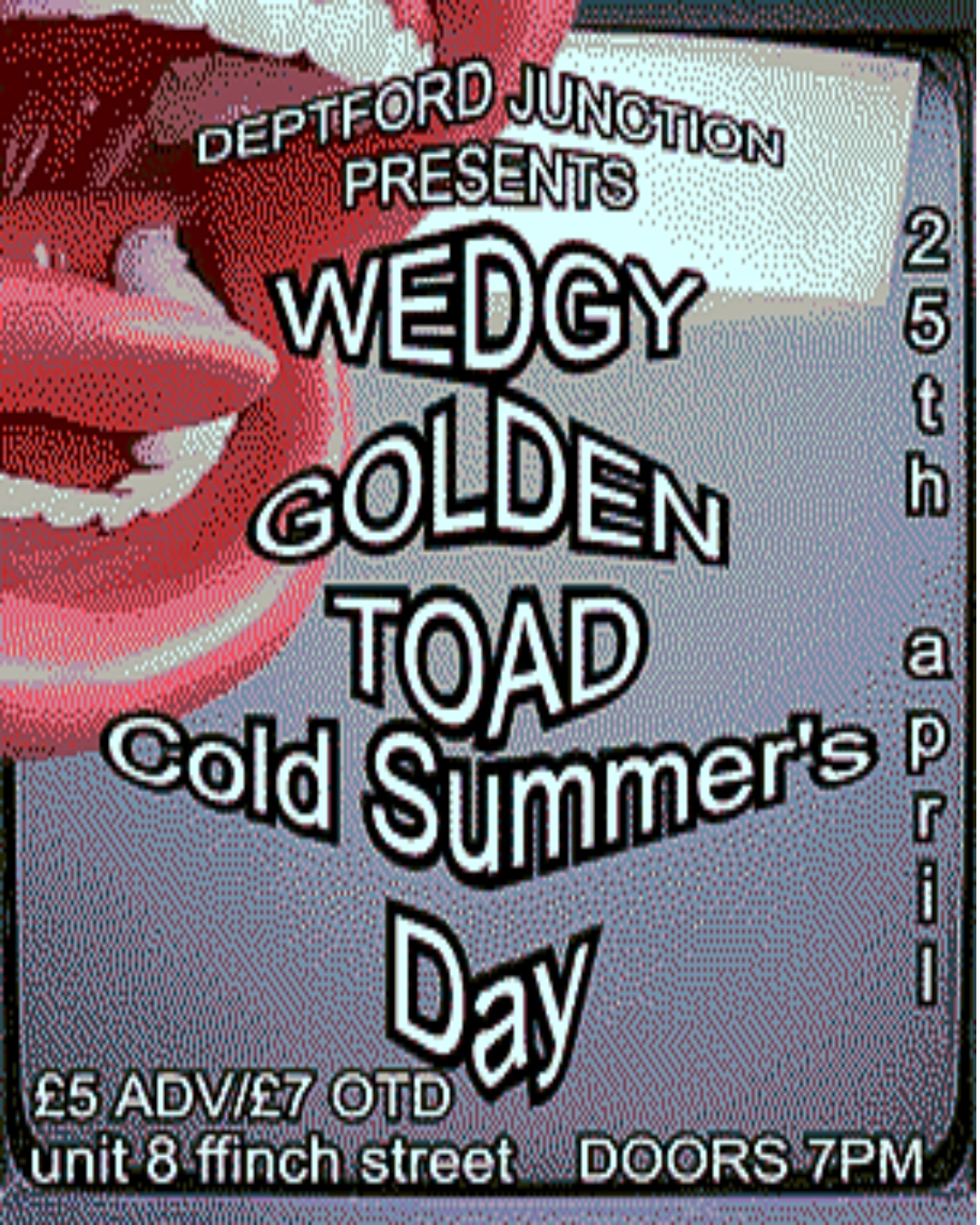 Wedgy, Golden Toad, Cold Summer's Day