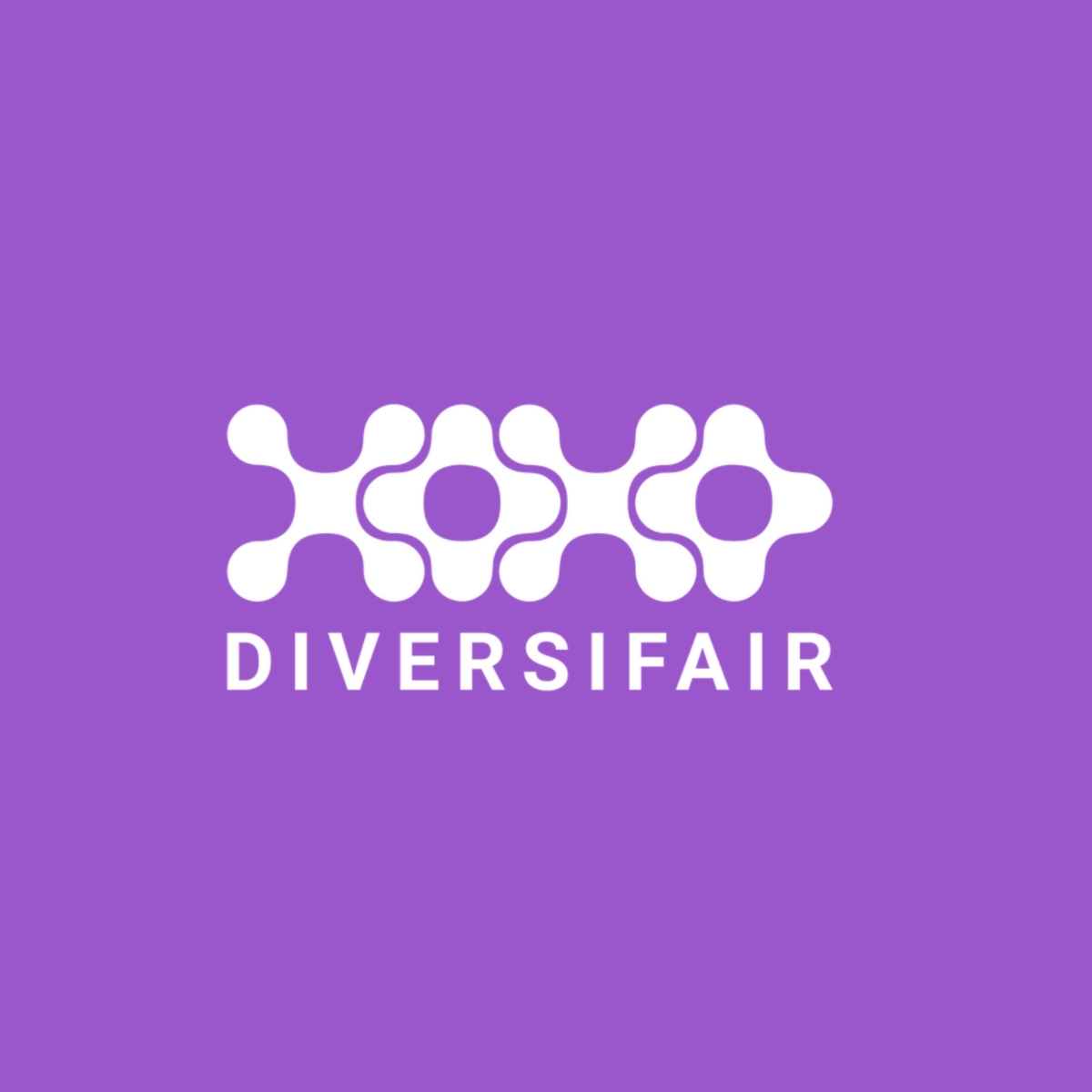 Fair AI in Practice - Insights From the DIVERSIFAIR Project