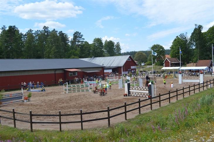 KINDA HORSE SHOW 🐴