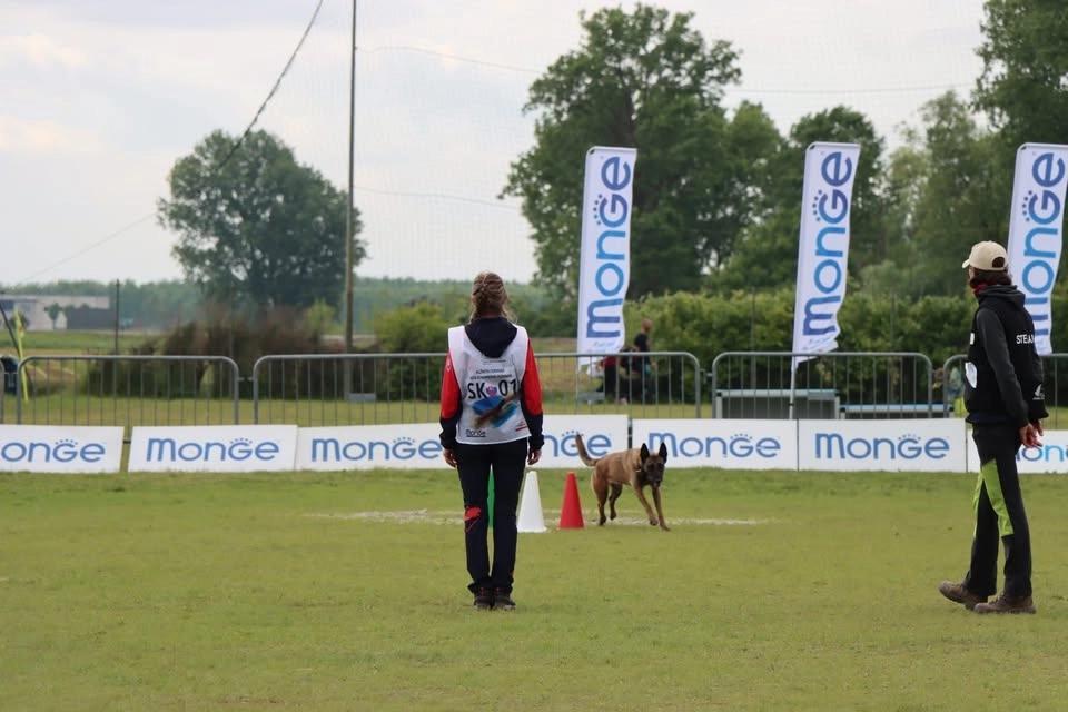Nitrianske obedience skúšky 2026