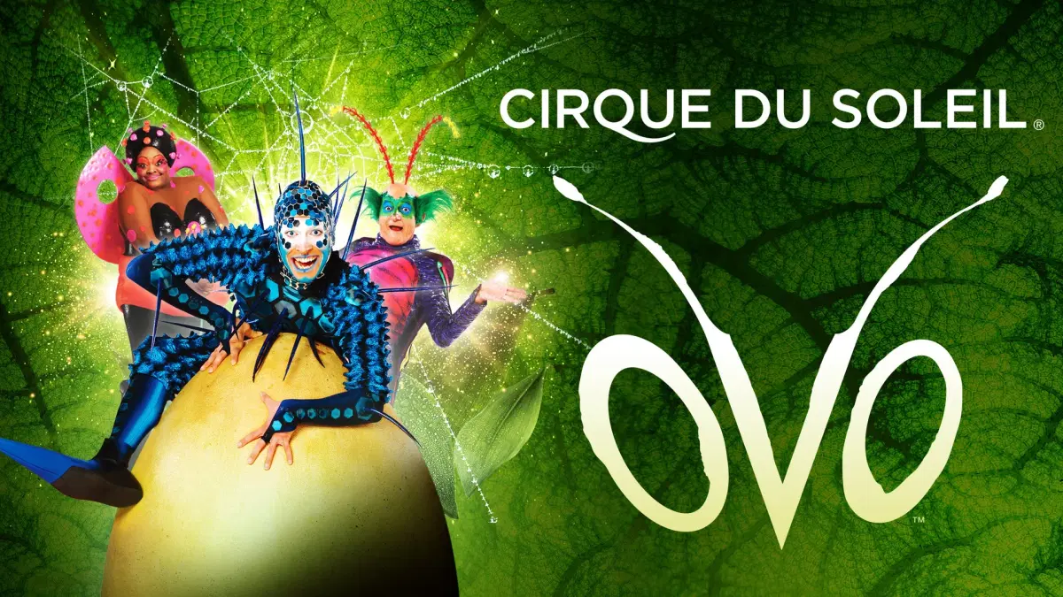 Cirque du Soleil: OVO 2026