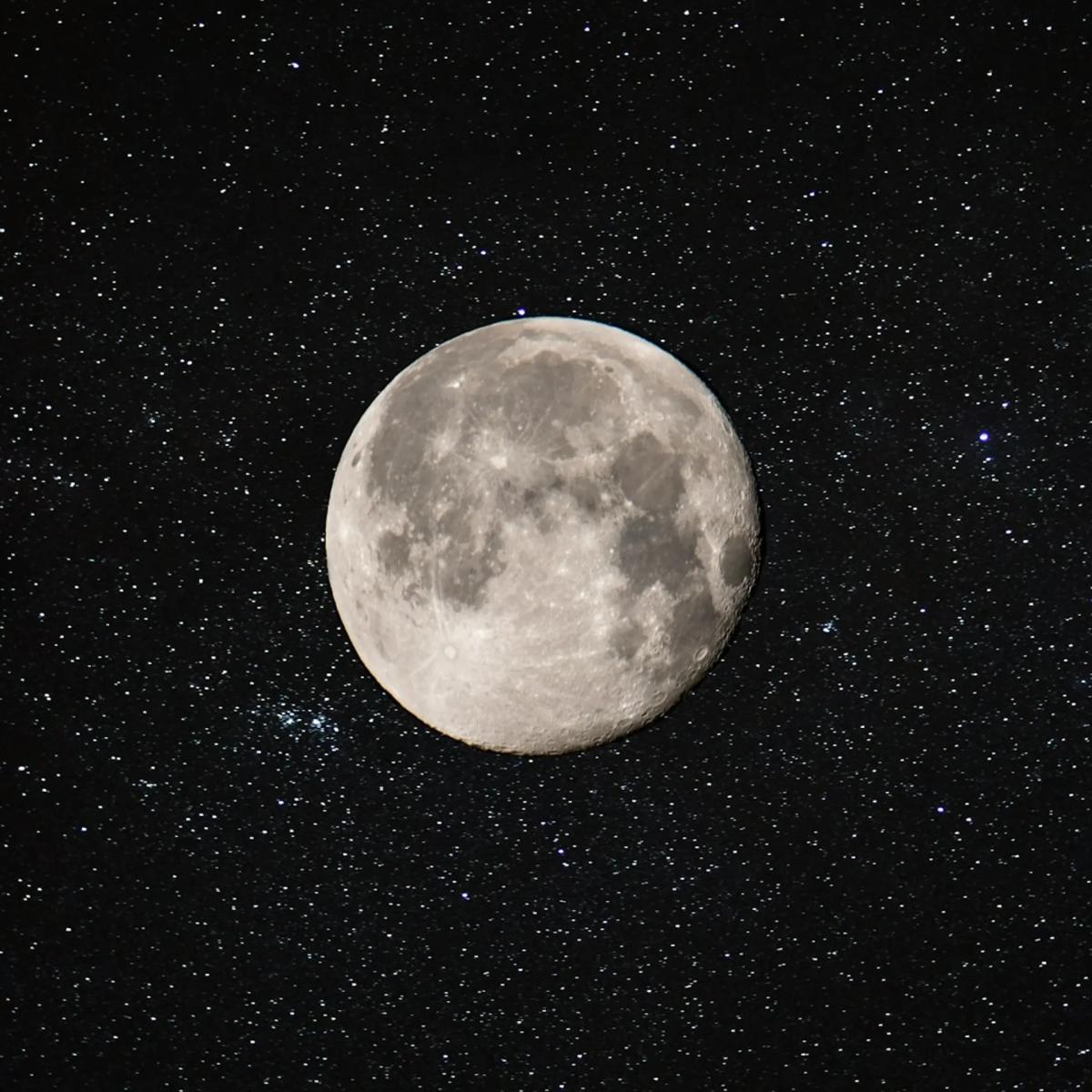 Buck Full Moon Walk