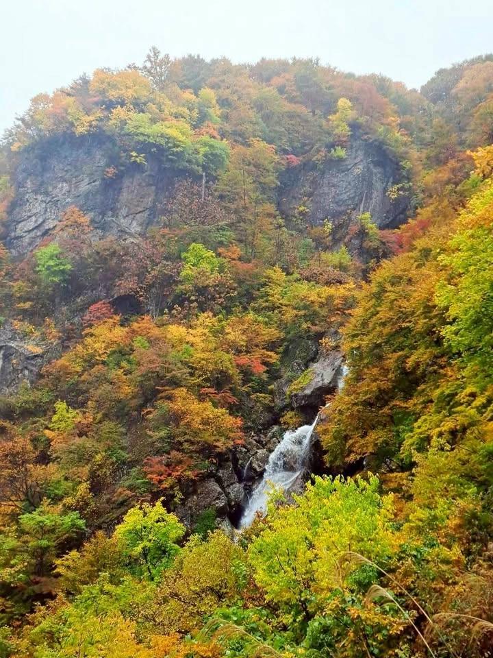 🍁勝手に収穫祭in五十沢キャンプ場🍁