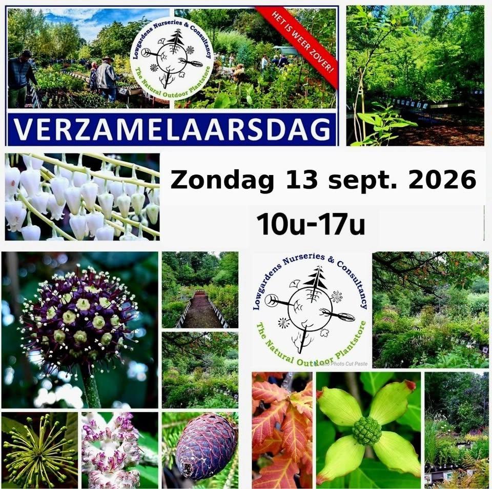 Verzamelaarsdag/Collectorsday