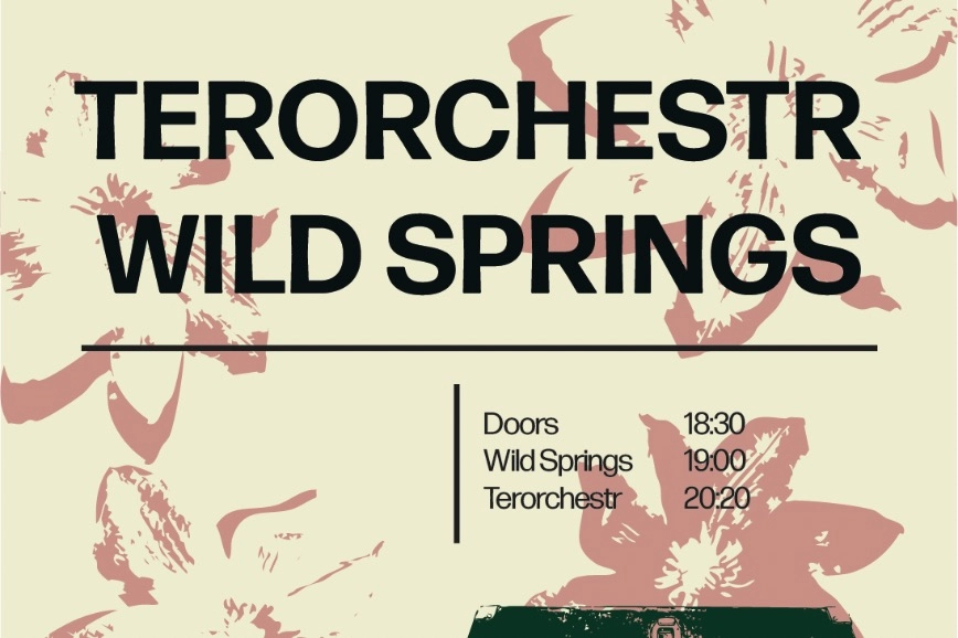 Terorchestr + Wild Springs