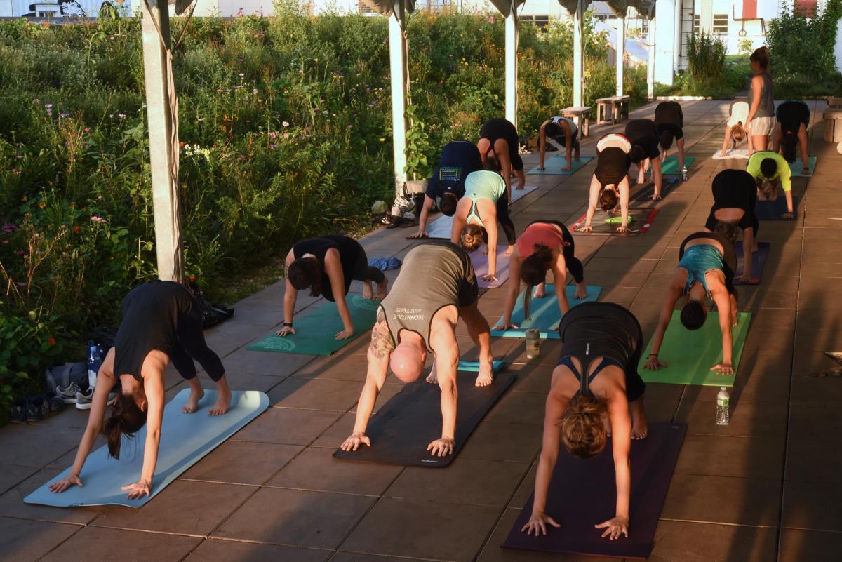 Friday Morning Yoga @ Brooklyn Navy Yard : 9 AM