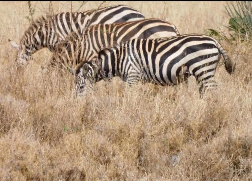 West Kenya Tour