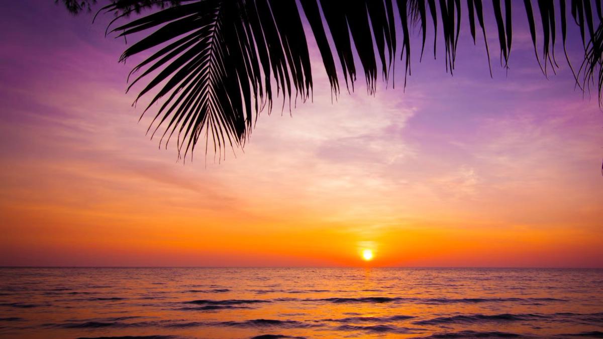 Evening Meditation