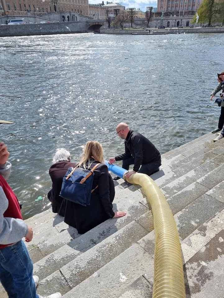 Utsättning av Smolt i Strömmen