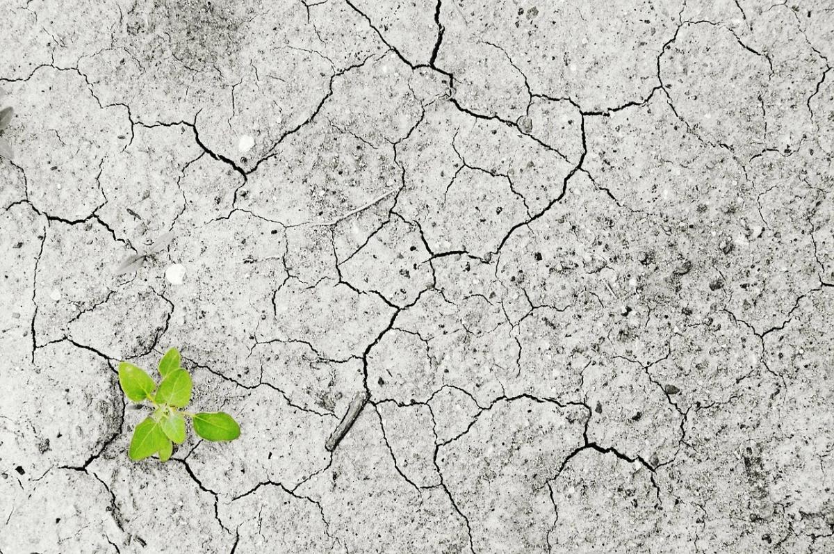 Miljö/klimatbokcirkel - studiecirkel i ABF:s regi