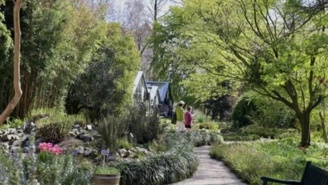 🎶🌿 Summer Evening with Live Music — Hortus Botanicus Amsterdam 🌿🎶