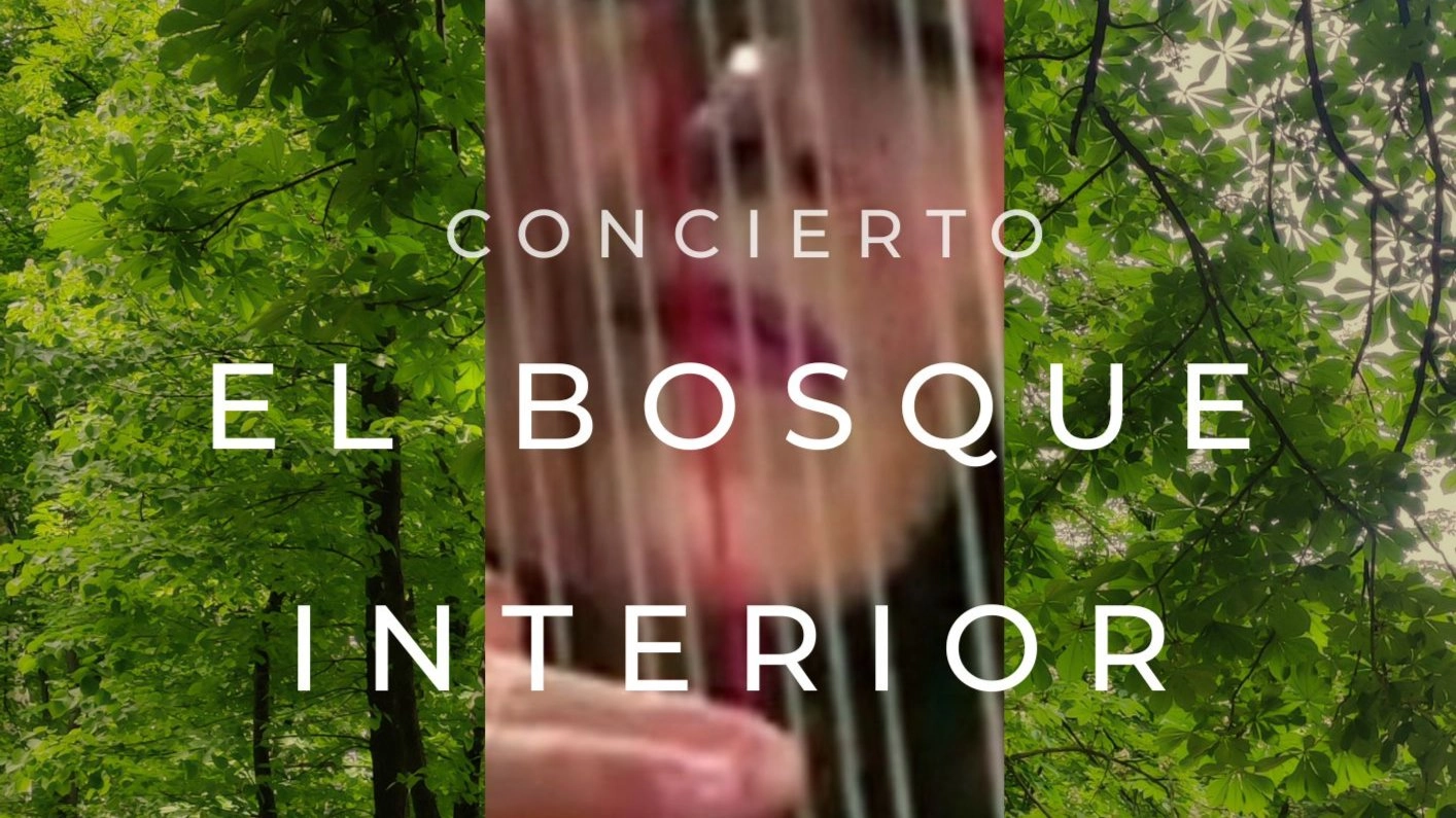 El Bosque Interior_Concierto Meditación_Arpa pedales