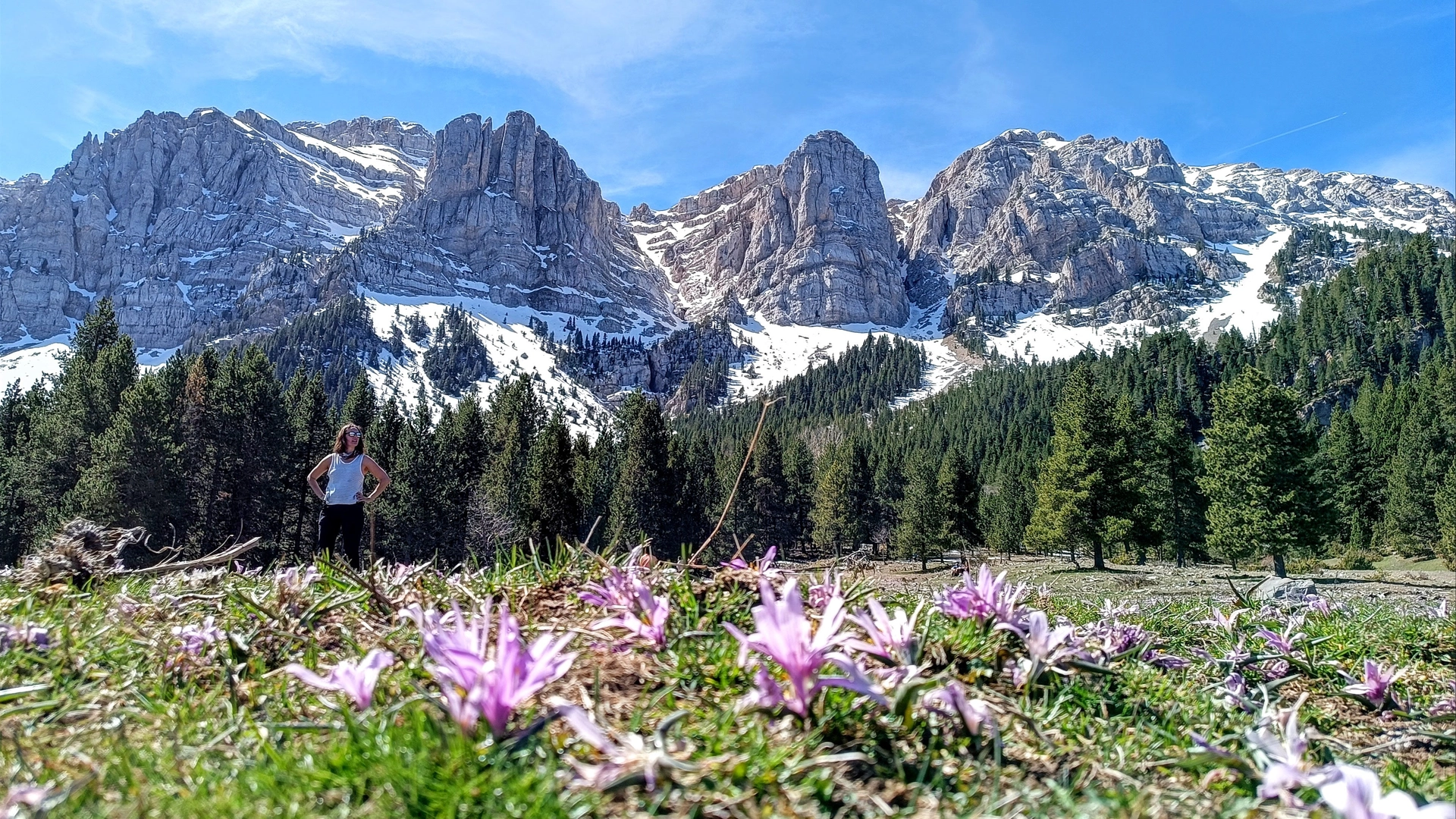 🌸Prat de Cadí primaveral🌲