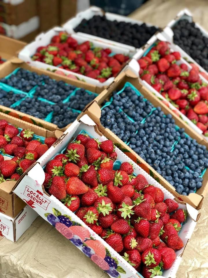 Berry Days!