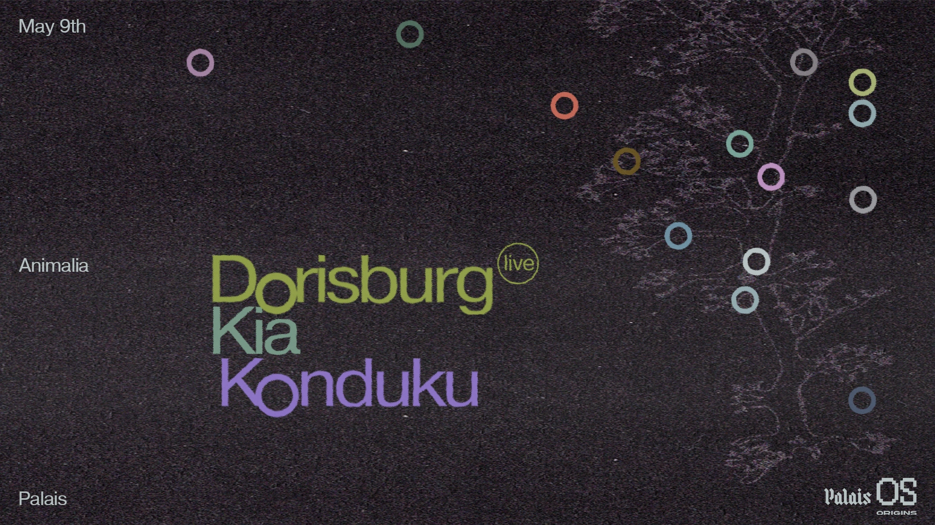 Origins x Animalia: Kia, Konduku & Dorisburg (Live)
