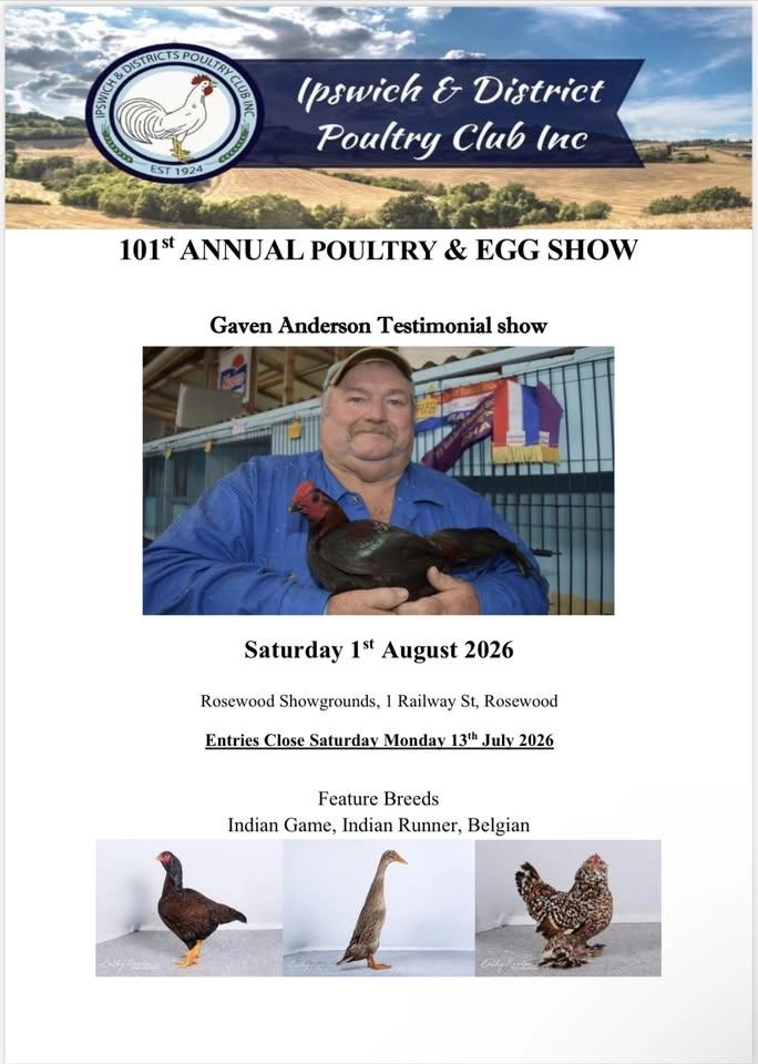 Gaven Anderson Testimonial Show