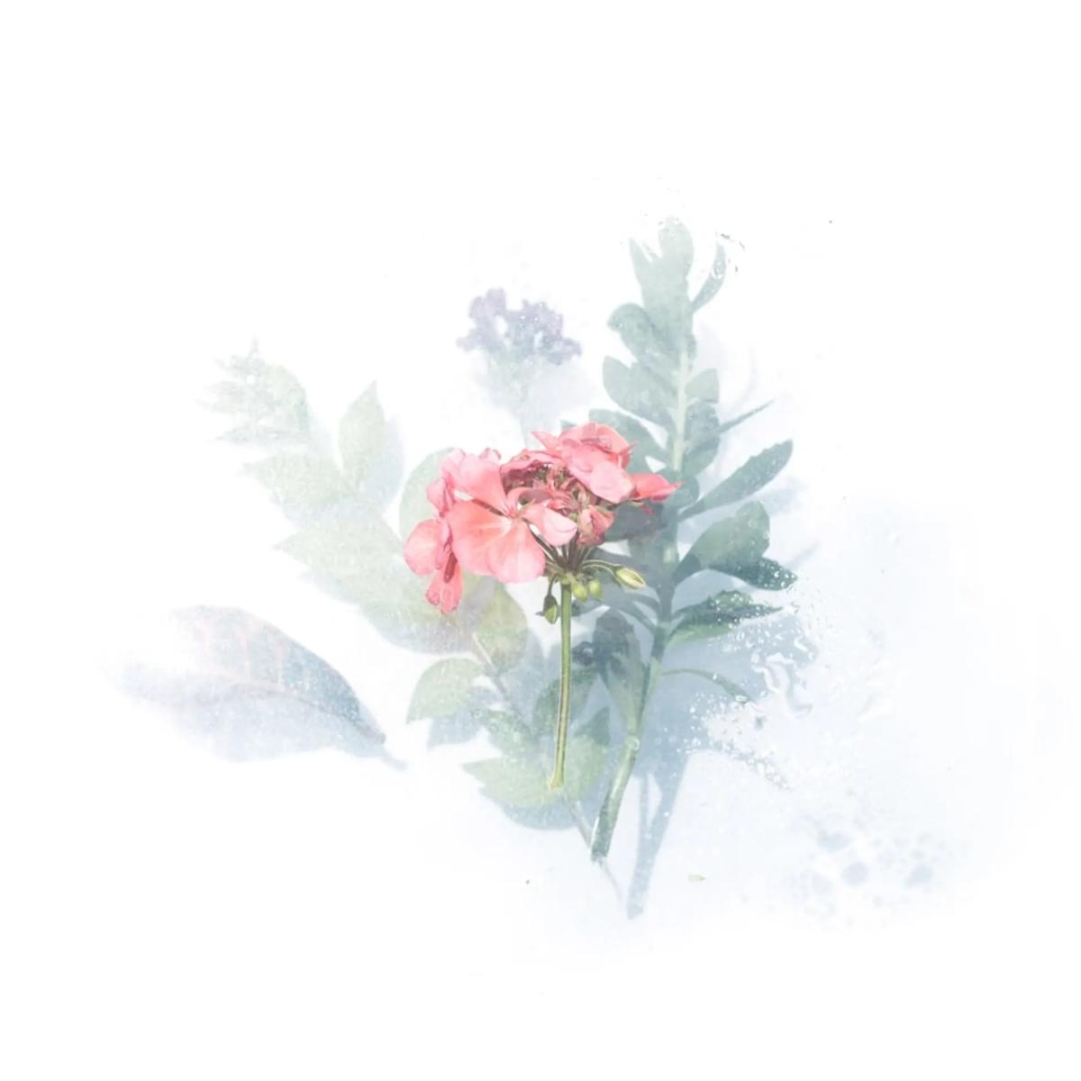 Watercolor w/ Jemimah