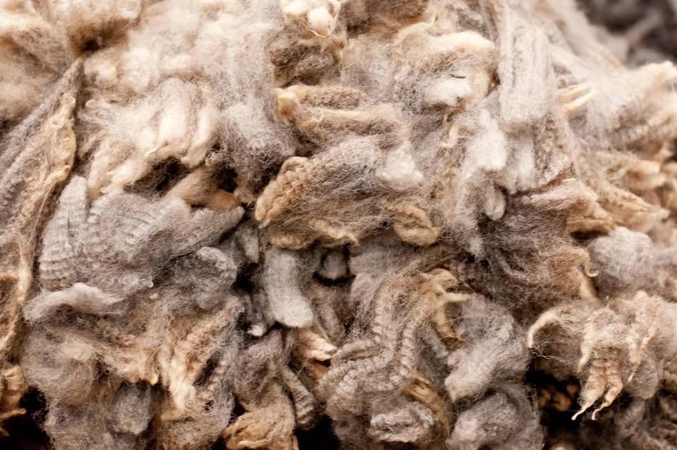 MAVWA fiber festival