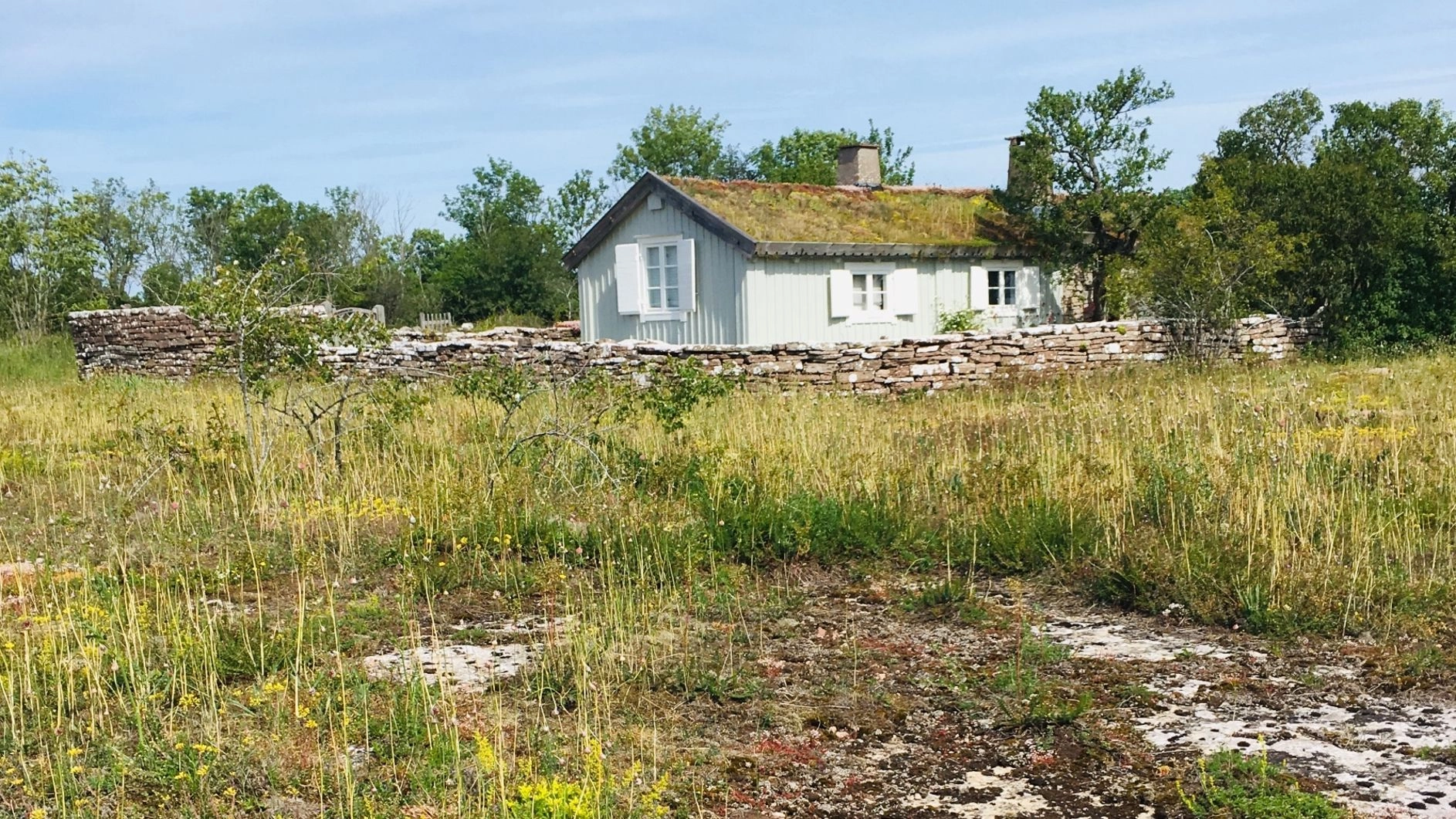 Upptäck Ölands magiska värld - skrönor, sägner och blomsterprakt!