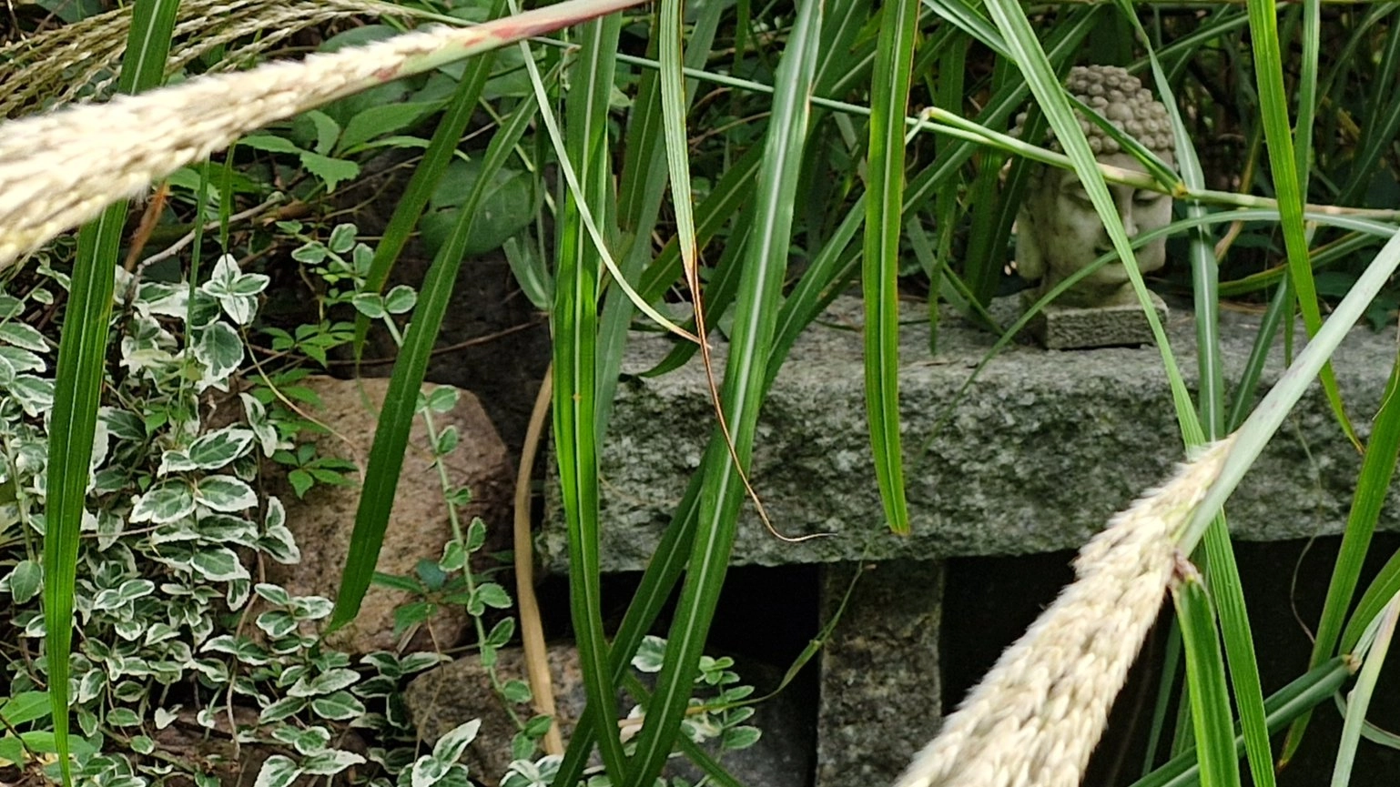 đ¶âđ«ïžWhat is unpleasant? Working with pain, challenging emotions & thoughtsđ«Ł