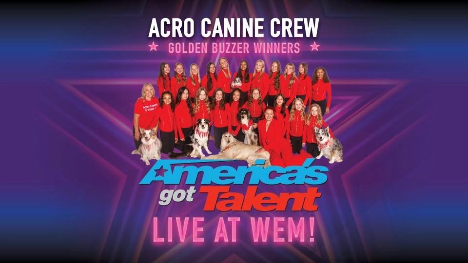 Acro Canine Crew Live at WEM