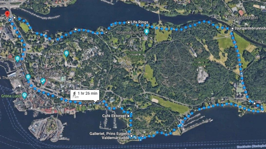🌳🚶🏽♂️🚶♀️🚶🏼♀️🚶 Walk & fika at Djurgården🤩