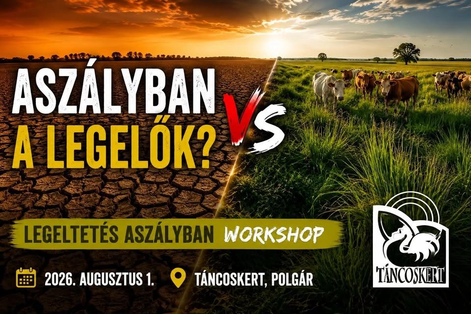 Legeltetés aszályban workshop