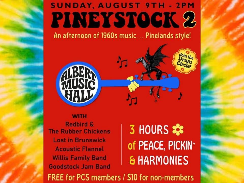 Albert Music Hall: Pineystock 2