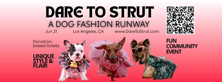 š¾āØ Dare to Strut LA Dog Fashion Runway Show āØš¾