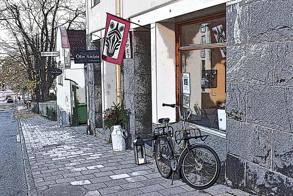 Släpp Loss på Zebra