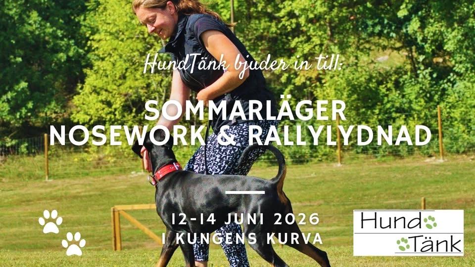 HundTänks Sommarläger!