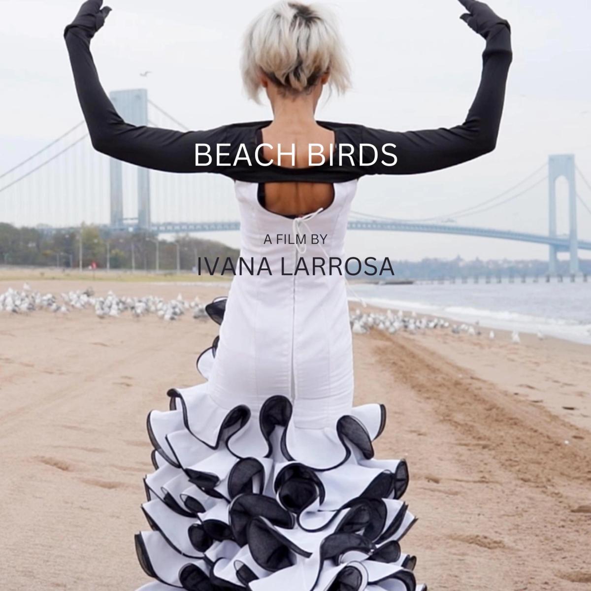 Beach Birds Film + Director Q&A