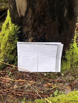 Shared reading vid Lärjeån