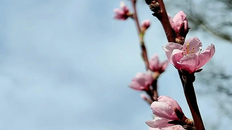 Försommaryoga i Norrviken