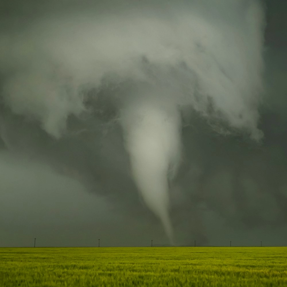 NATURE TECH FOR INSURANCE Powered by Pemberton