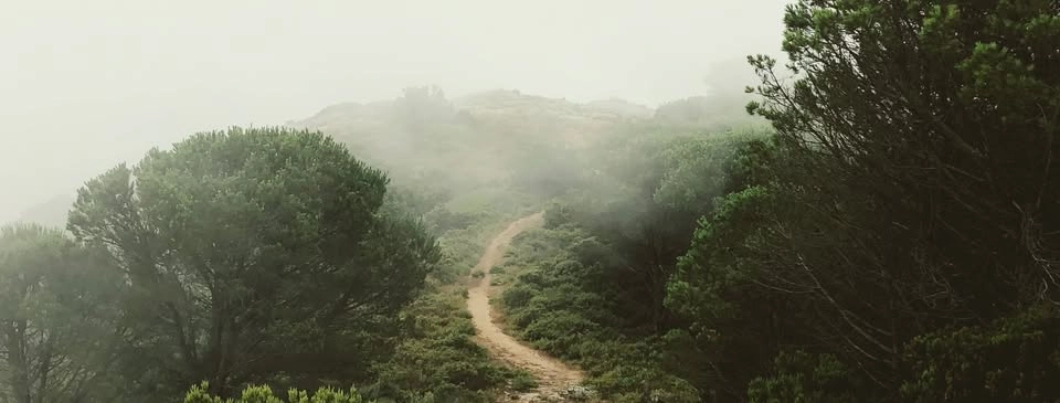 Presenting the Path: One Day Retreat