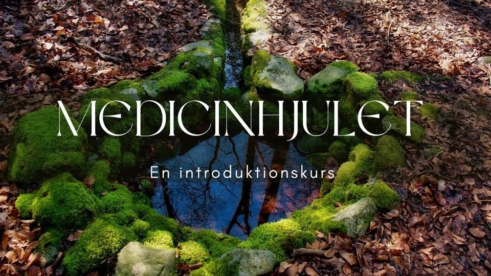 KURS: Medicinhjulet - En introduktion