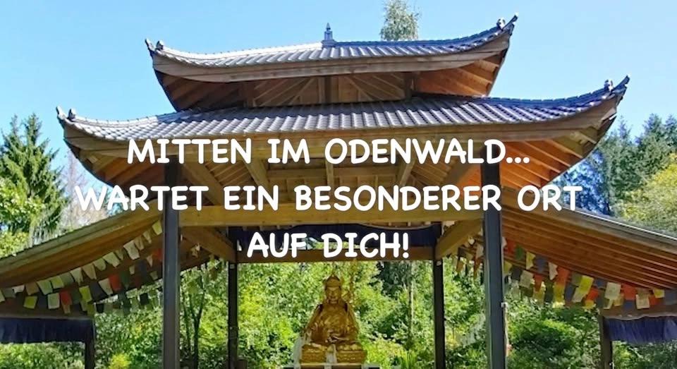 Sommer Retreat im Odenwald: QIGONG meets KURINUKI